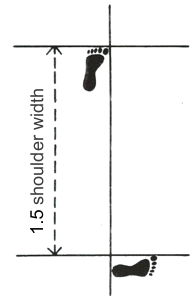 fixed stance (gojung sogi)